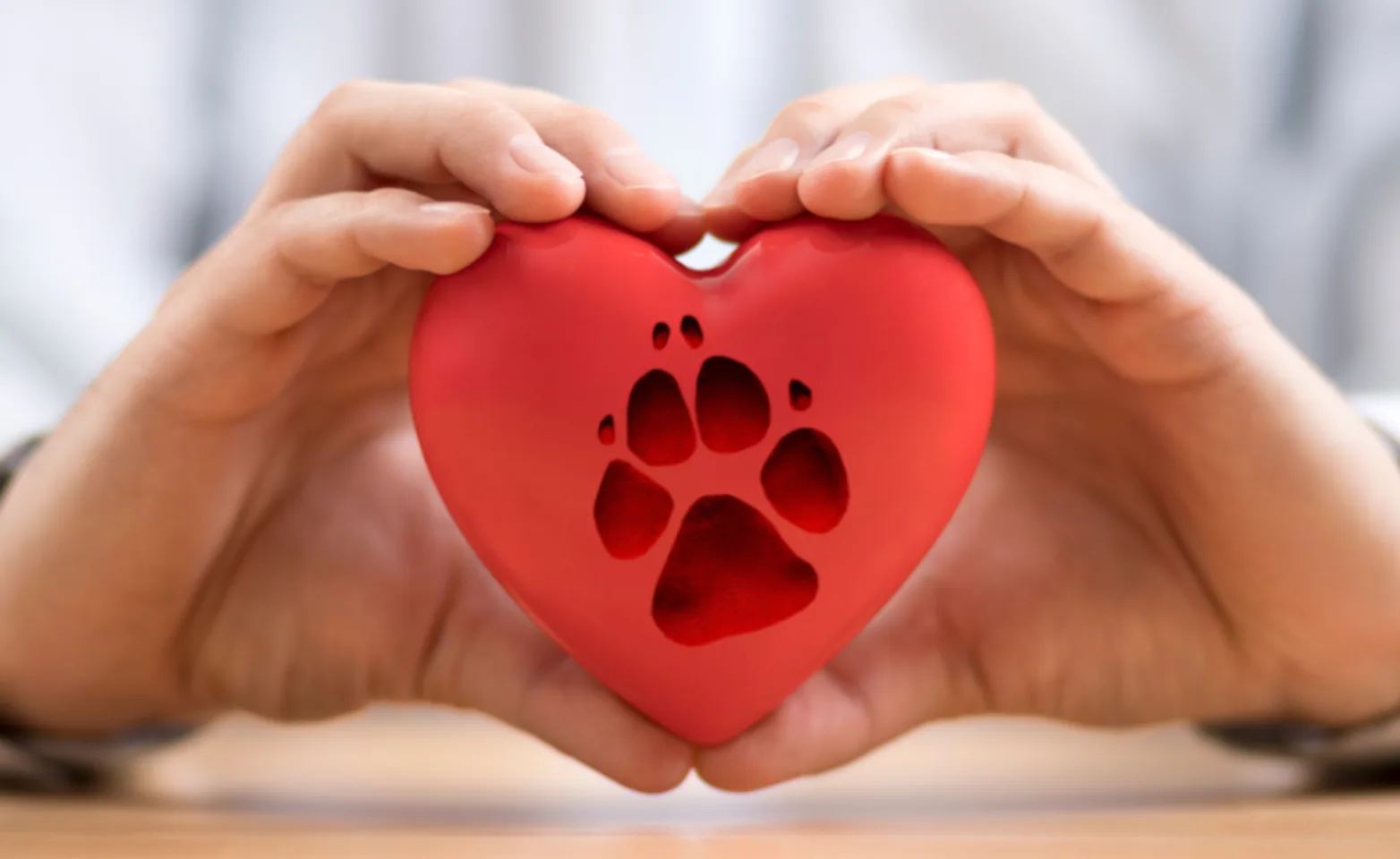 Grief Resources Dogs And Cats Emergency Specialty grief-resources-dogs-and-cats-emergency-specialty